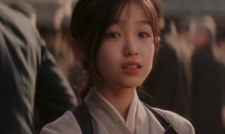 艺伎回忆录完整版 艺伎回忆录完整版